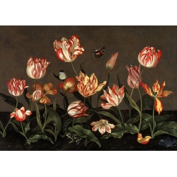 Quadro, stampa su tela. Johannes Bosschaert, Natura morta con tulipani