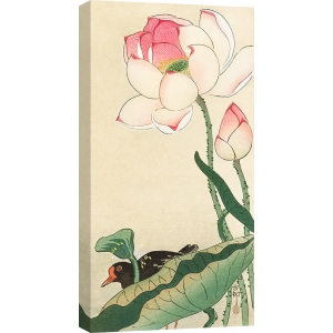 Tableau sur toile. Koson Ohara, Fleurs de lotus