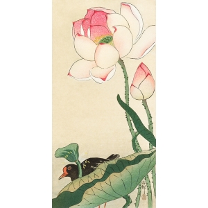 Wall art print on canvas and poster. Koson Ohara, Lotus Flowers