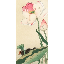 Cuadro japoneses en canvas. Koson Ohara, Flores de loto