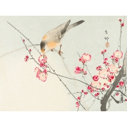 Wall art print on canvas. Koson Ohara, Songbird on blossom branch