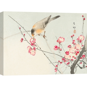 Leinwandbilder Japanische Kunst. Songbird on blossom branch