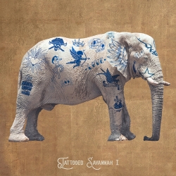 Wall art print and canvas of elephant. Steven Hill, Savannah Tattoo I