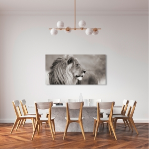 Tableau sur toile. Lion en Namibie (BW)