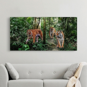 Wall Art Print and Canvas. Bengal Tigers (detail)