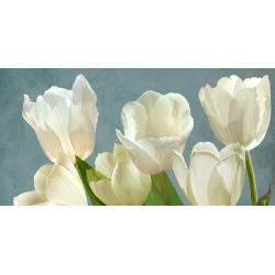 Bilder auf Leinwand Blumen. Luca Villa, Weiße Tulpen auf Blau
