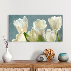 Wall Art Print and Canvas. White Tulips on Blue