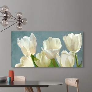 Wall Art Print and Canvas. White Tulips on Blue