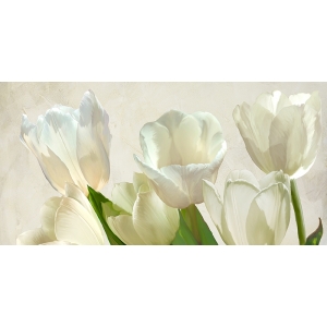 Tableau sur toile. Luca Villa, Tulipes blanches, detail