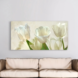 Flower wall Art Print and Canvas. White Tulips (detail)