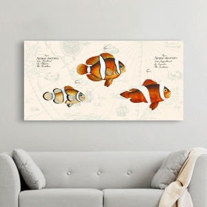 Tableau sur toile. Stef Lamanche, Poissons tropicaux I