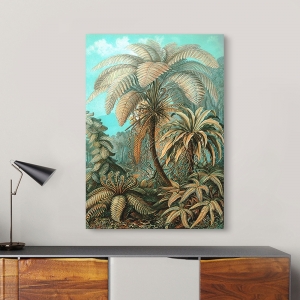 Wall Art Print and Canvas. Ernst Haeckel, Filicinae Palms