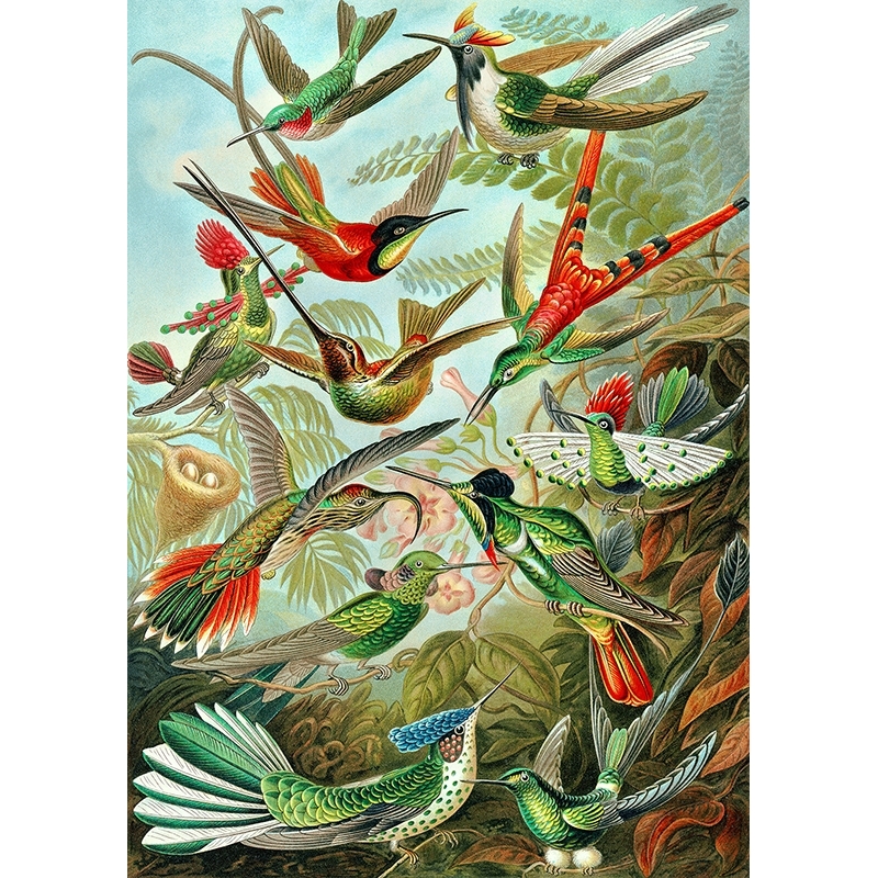 Soggetto: Uccellini su Filo Stampa Artistica su Tela Five-Seller Art-Manufacture-Design 30 x 60 cm 