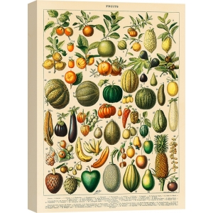 Vintage Wall Art Print and Canvas. Fruits and Vegetables