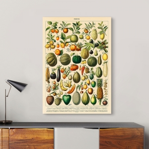  Cuadros vintage de frutas vegetales pintura en lienzo carteles  botánicos e impresiones para decoración de sala de estar, 11.8 x 17.7 in,  sin marco : Hogar y Cocina