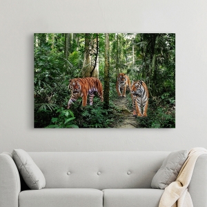 Wall Art Print and Canvas. Bengal Tigers