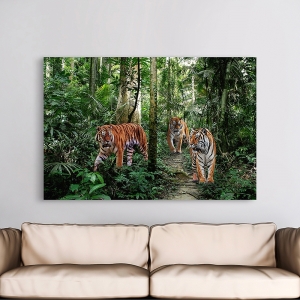 Tableau sur toile. Tigres du Bengale