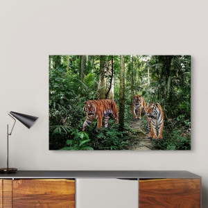 Wall Art Print and Canvas. Bengal Tigers