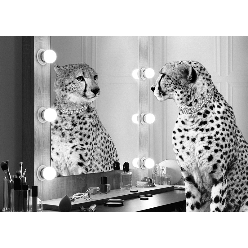 Schwarz-weiß Bilder auf Leinwand. Gepard im Spiegel (BW)