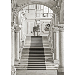 Schwarz-weiß Bilder auf Leinwand. Tiger in klassischen Interieur