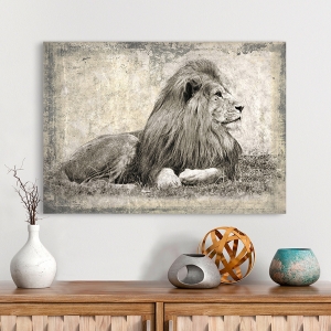 Wall Art Print and Canvas. Memories of Africa I, Lion