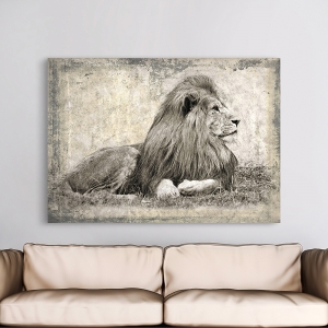 Tableau moderne avec animaux. Memories of Africa, Lion