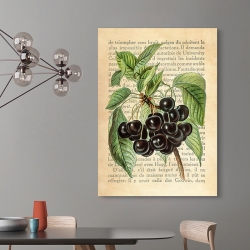 Kitchen Wall Art Print and Canvas. Cherries