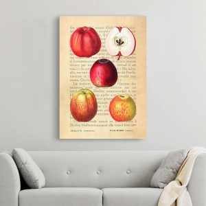 Bilder auf Leinwand mit Küchenmotiven. Äpfel (After Redouté)