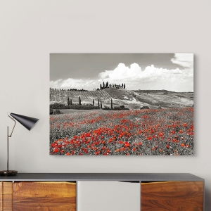 Wall Art Print and Canvas. Farmhouse, Cypresses and Poppies (BW)