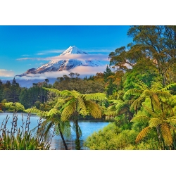 Cuadro de naturaleza en canvas. Nueva Zelanda