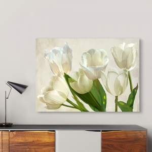 Flower wall Art Print and Canvas. White Tulips