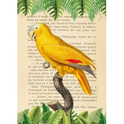Vintage Wall Art Print and Canvas with Birds. Blue-Fronted Parrot
