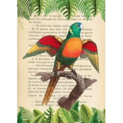 Vintage Wall Art Print and Canvas with Birds. Blue-Headed Parrot