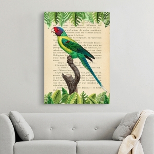 Vintage Wall Art Print and Canvas with Birds. Plum-Headed Parrot