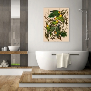 Wall art print and canvas. John James Audubon, Carolina Parrot