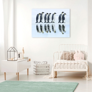Cuadro animales, fotografía en canvas. Krahmer, Grupo de pingüinos