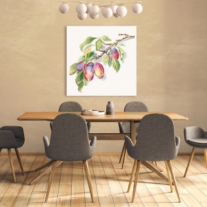 Botanical art print, canvas, poster. A branch of ripe plums