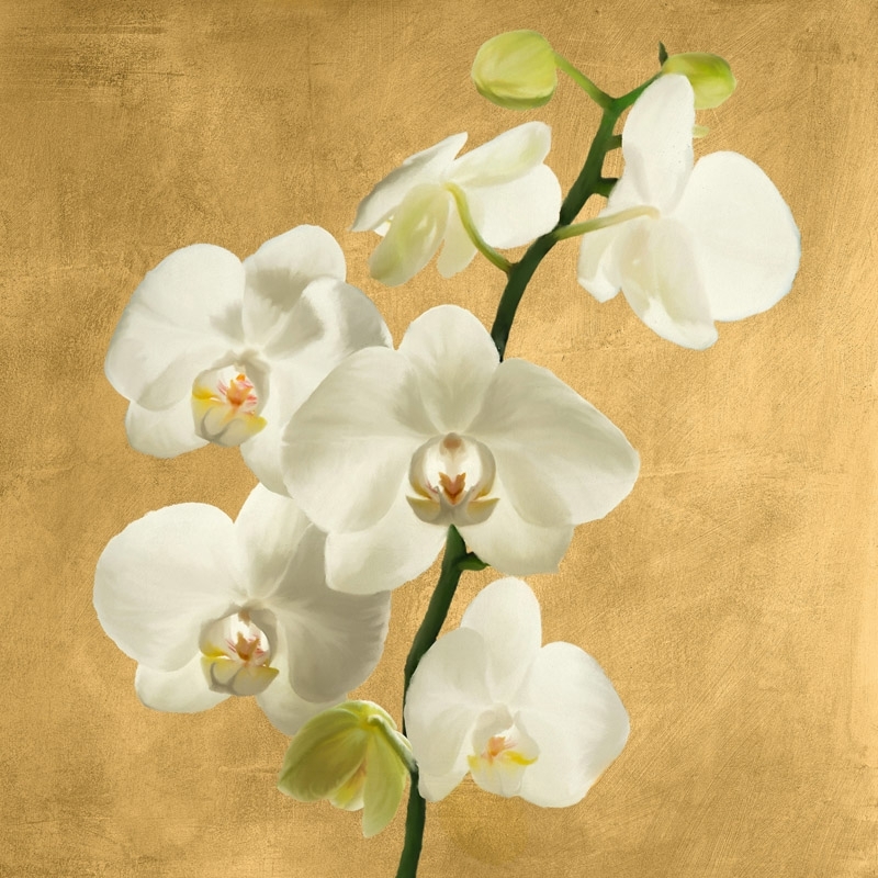 Cuadros en lienzo. Andrea Antinori, Orquídeas en fondo dorado II