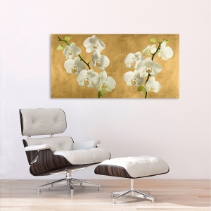Cuadros en lienzo. Andrea Antinori, Orquídeas en fondo dorado