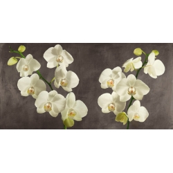 Flower wall art print, canvas. Orchids on a Grey Background