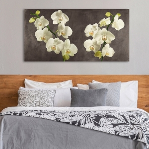 Leinwandbilder, Poster. Orchideen auf grauem Hintergrund