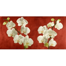Tableau fleurs modernes. Antinori, Orchidées sur fond rouge