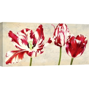 Quadro, stampa su tela. Luca Villa, Tulipes Royales