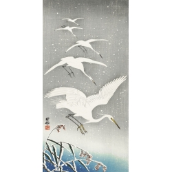 Stampa giapponese. Ohara Koson, Aironi in discesa sulla neve