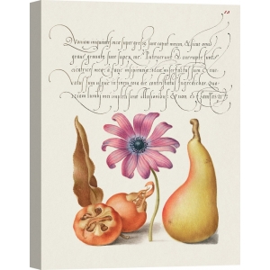 Botanical art print, canvas. From the Model Book of Calligraphy, VIII