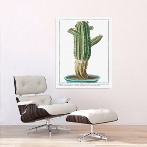 Quadro, stampa su tela. Giorgio Bonelli, Cactus Tithymalus