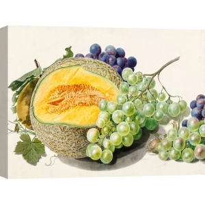Cuadros en lienzo. Michiel van Huysum, Frutas II