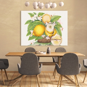 Tableau sur toile. Panier avec des citrons