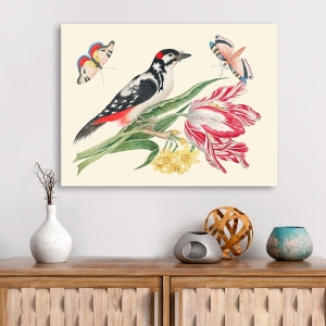 Wall art print, canvas, poster. A Bird on Tulip stem with Daffodils