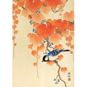 Quadro giapponese. Ohara Koson, Grande cincia su un ramo